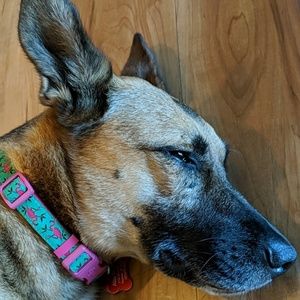 Meet your Posher, Kenny